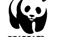 ​У Росії Всесвітній фонд дикої природи оголосили "небажаною організацією"