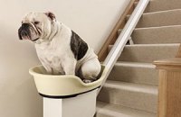 Толстых псов научат подниматься по лестницам в механической корзине