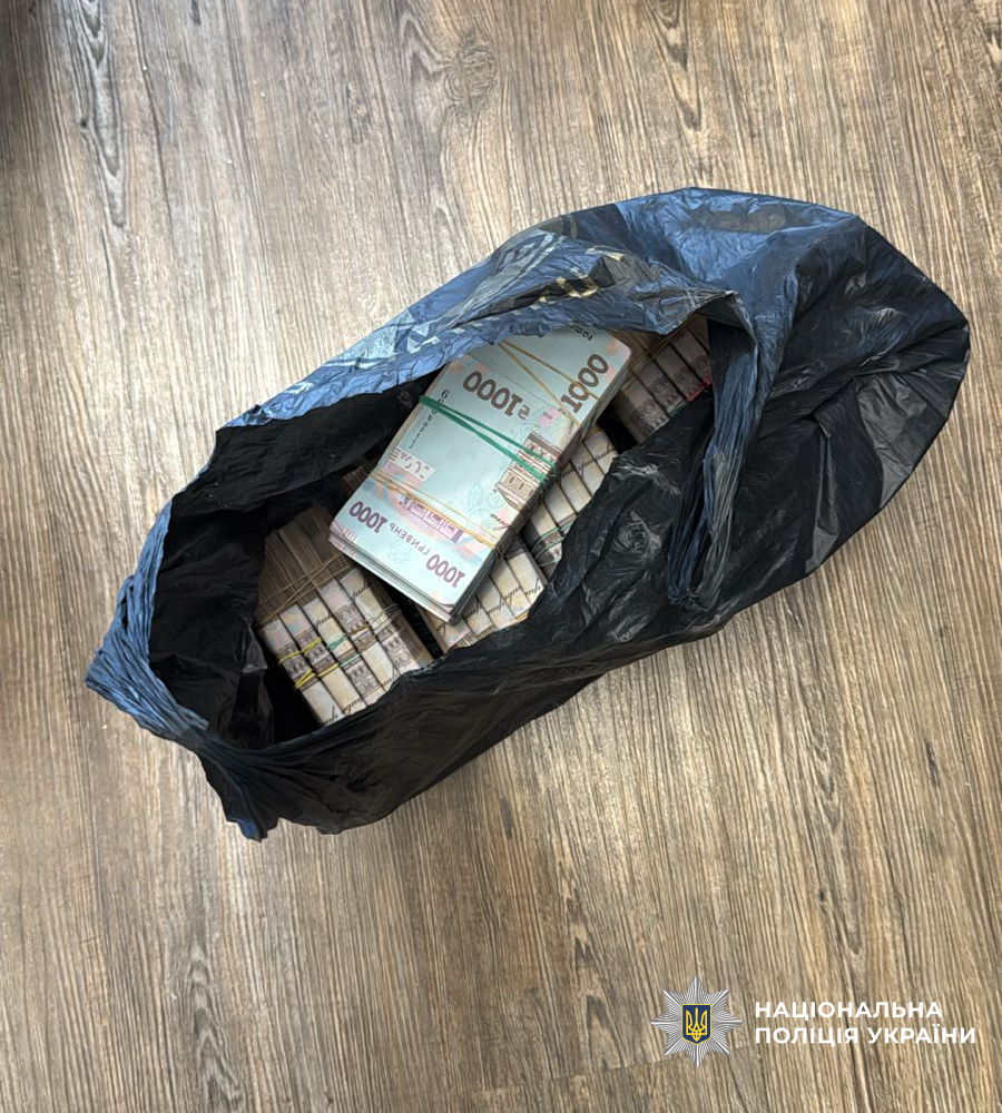 Знайдені під час обшуків гроші 