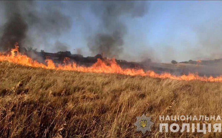 У Запорізькій області росіяни знищили промисловий об’єкт та 70 га поля з врожаєм