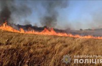 У Запорізькій області росіяни знищили промисловий об’єкт та 70 га поля з врожаєм