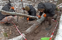 На Донеччині поблизу Бородичного ексгумували тіла двох українських захисників