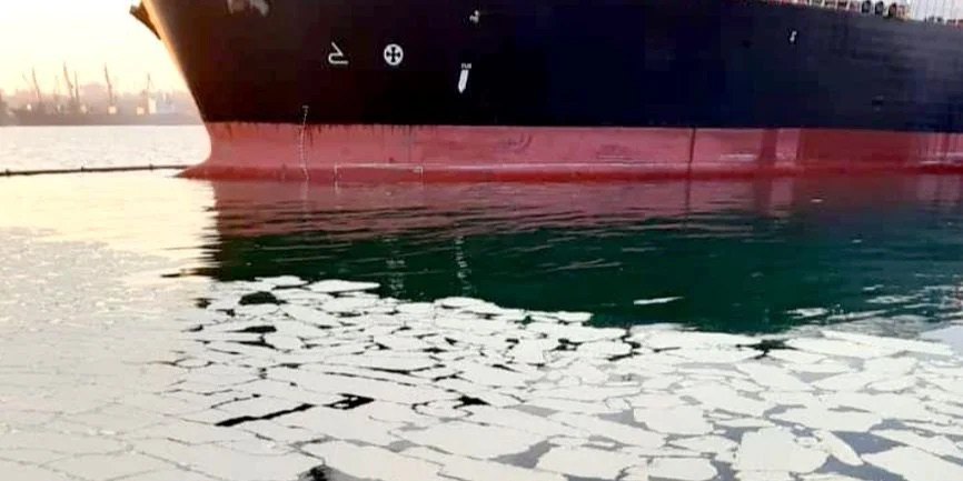 Забруднення води пальмовою олією в порту 'Південний', Одещина, 2020. 