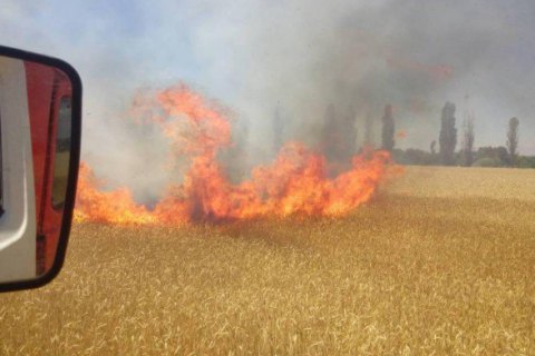 У Миколаївській області горіли 99 га поля з пшеницею
