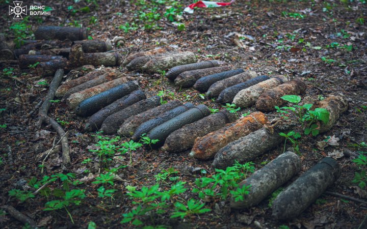 На Волині сапери ДСНС виявили понад десяток боєприпасів часів Першої світової війни