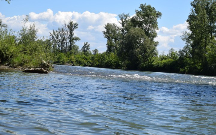 У Тисі на Закарпатті знайшли тіло 46-го потопельника з початку повномастшабного вторгення РФ