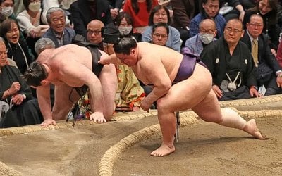 Соколовський врятувався, новий цуноторі. Підсумки Natsu Basho 