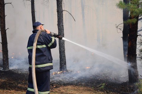 В Житомирской области огонь охватил 60 гектаров леса