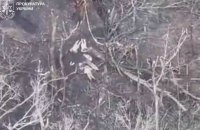 На Харківщині росіяни розстріляли чотирьох українських військовополонених, – генпрокуратура