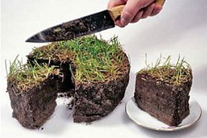 Експерти не очікують повального продажу землі в Україні