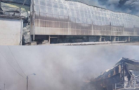 На птахофабриці поблизу Василькова сталася велика пожежа (оновлено)