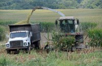 В Кабмине считают, что Украина может прославиться аграрным сектором
