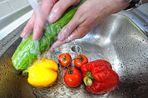 Россия запретила ввоз овощей из Евросоюза после «огуречного скандала»