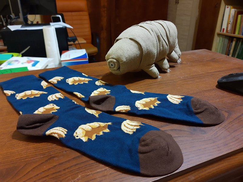 З колекції тихоходомерчу Євгена Кіосі