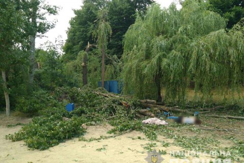 Количество погибших от падения дерева на базе отдыха возле Харькова выросло до двух