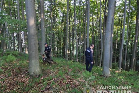 На Закарпатье нашли четырех детей, которые накануне заблудились в лесу