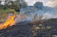 ​На Харківщині загинула жінка через випалювання сухої трави