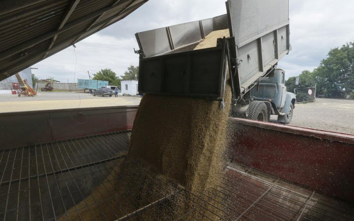 Митники не дали вивезти до Італії 1,2 тис. тонн пшениці за підробленими документами