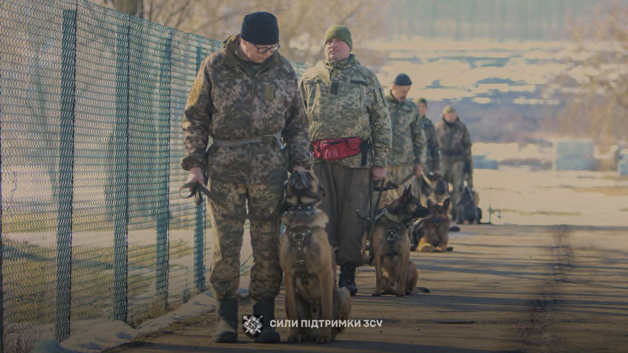 Службові собаки ЗСУ
