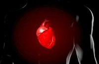 Обезболивающие препараты вредят сердечникам