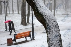 Первый настоящий снег в Киеве