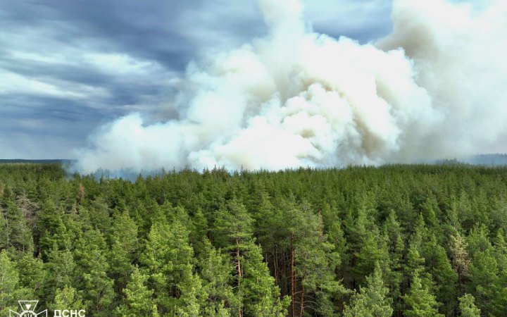 Через російські обстріли на Харківщині горять ліси, — ДСНС