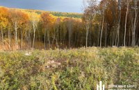 На Тернопільщині керівництво держлісгоспу підозрюють у незаконній порубці на понад 56 млн гривень