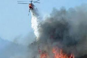 Пожар на греческом острове Хиос уничтожил 7 тыс. га леса