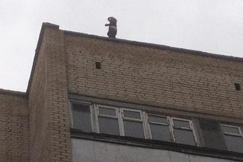 В Киеве сорвались с крыш и погибли двое строителей