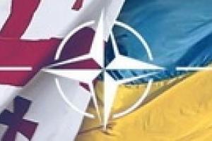 США подтверждают право Украины и Грузии на членство в НАТО