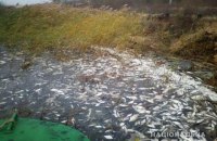 В Херсонской области полиция расследует причины массовой гибели рыбы в Днепре