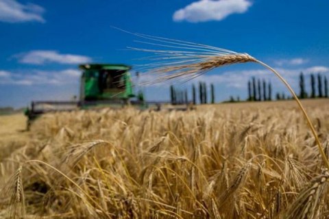 Россиянам запретят покупать украинскую сельхозземлю после открытия рынка 