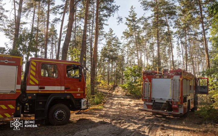 У трьох районах Києва на площі в понад гектар горів трав'яний настил