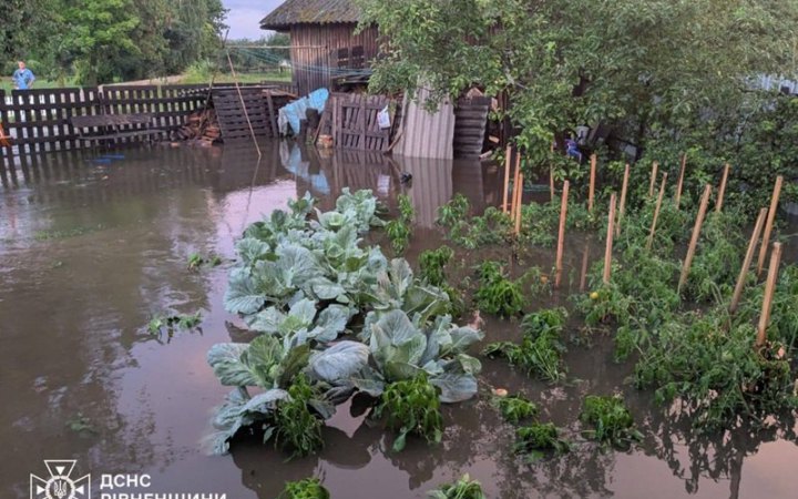 Масштабні підтоплення та повалені дерева: рятувальники ліквідовують наслідки негоди в п'яти областях