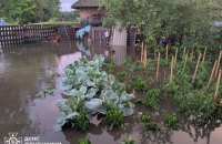 Масштабні підтоплення та повалені дерева: рятувальники ліквідовують наслідки негоди в п'яти областях