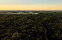 BBC: після вибуху на заводі у Теннессі 16 людей вважаються загиблими