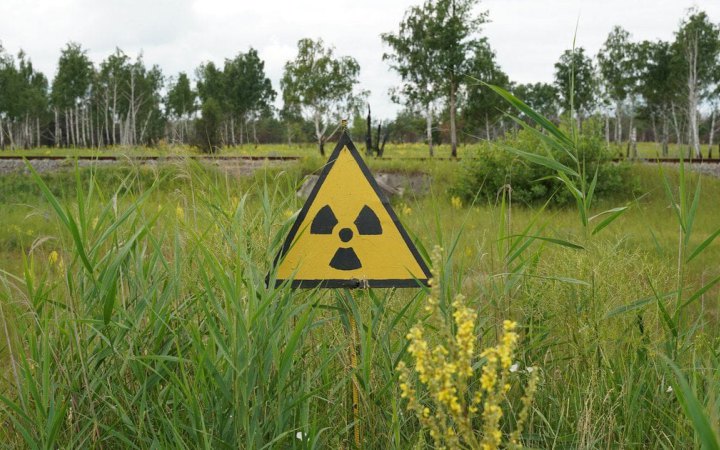 Прокурори звернулися з позовом до суду через незаконне вирощування врожаю у Чорнобильській зоні