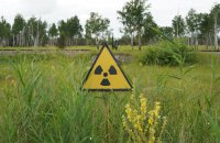 Прокурори звернулися з позовом до суду через незаконне вирощування врожаю у Чорнобильській зоні