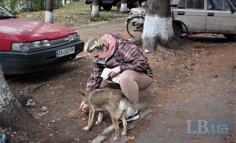 Волонтерка спортивного-клубу карате 'Дайтан' Аліна годує тварин в Дворічній.
