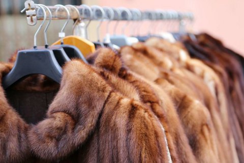 В Калифорнии подписали законопроект о запрете продажи и изготовления одежды из меха