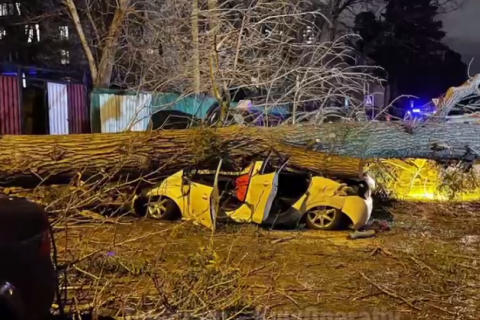 В Киеве сильный ветер повалил дерево на автомобиль с людьми 