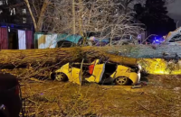 В Киеве сильный ветер повалил дерево на автомобиль с людьми 
