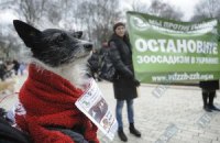 Чехи протестуют против убийства животных в Украине