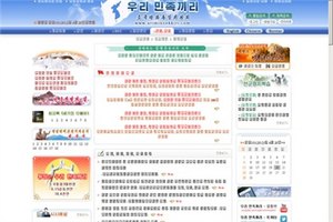 Официальная страница Северной Кореи стоит 15 долларов