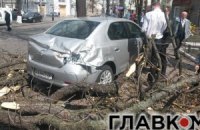 У Києві вітер зриває дахи і валить дерева та білборди