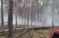 В Чернобыльской зоне зафиксировали пять пожаров, их удалось потушить