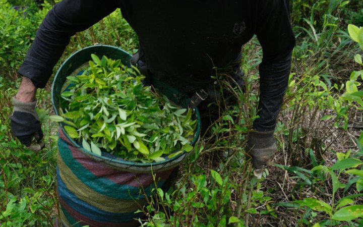 У горах Колумбії цивільні викрали 57 солдатів
