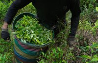 У горах Колумбії цивільні викрали 57 солдатів