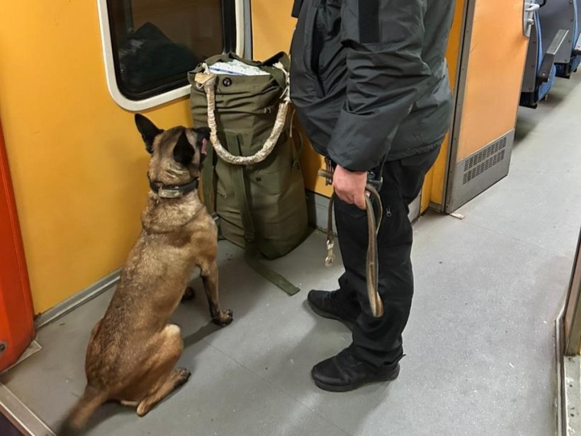 У потязі собака виявив незадекларовані сигарети