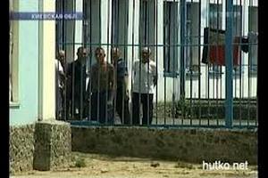В Беларуси амнистировали более 1,5 тысяч заключенных